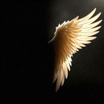 The primary subject of the image is a white angel wing. The setting is a dark background, which highlights the wing's shape and texture. The visual style is a combination of photo and digital art, creating a realistic yet artistic representation of the wing. The colors are predominantly white, with the wing's texture and light reflecting off it, creating a sense of depth and dimension. The overall atmosphere is serene and spiritual, evoking feelings of hope and inspiration.